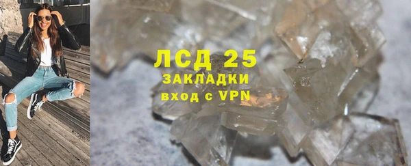 хмурый Магас