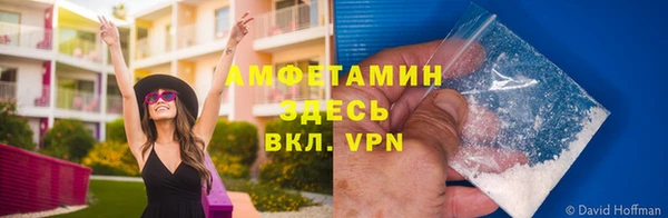 хмурый Магас