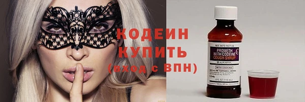хмурый Магас