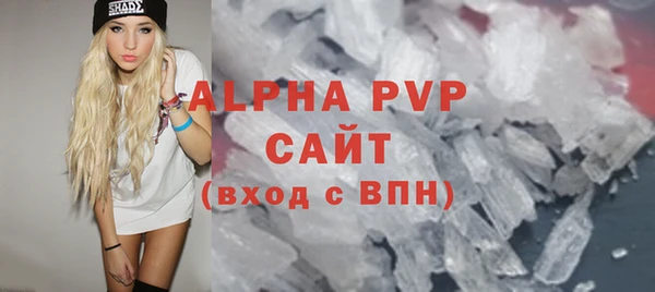 хмурый Магас
