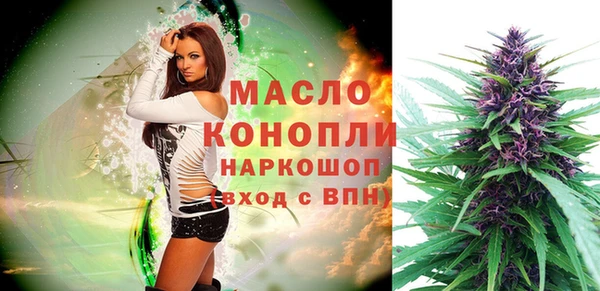хмурый Магас