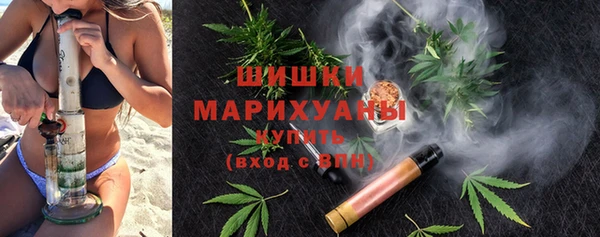 хмурый Магас