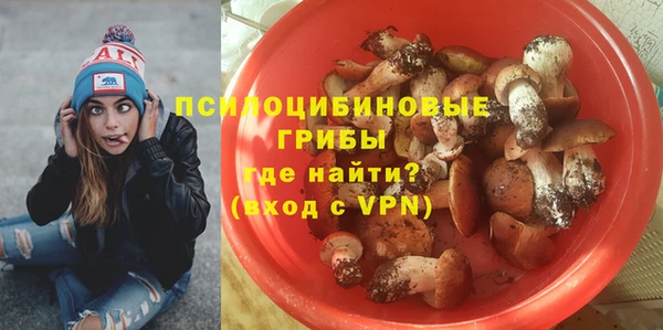 хмурый Магас