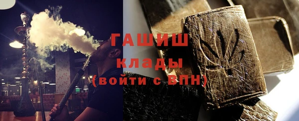 хмурый Магас