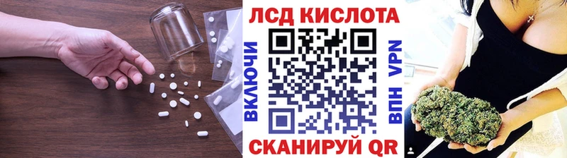 купить наркотики цена  Стародуб  Лсд 25 экстази ecstasy 